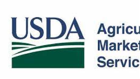 Group Banner Picture